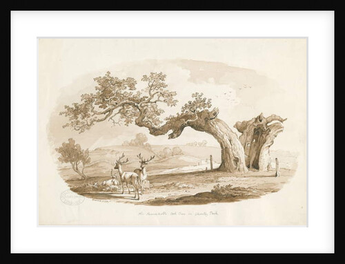 Chartley Hall - Park: sepia drawing, 1838 by Thomas Peploe Wood