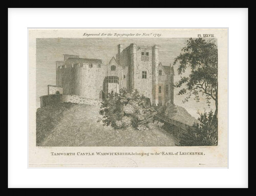 Tamworth Castle by Stebbing Shaw