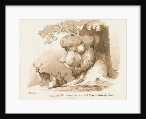 Wolseley Park - Knot on an Oak Tree: pen and sepia drawing, 1838 by Thomas Peploe Wood