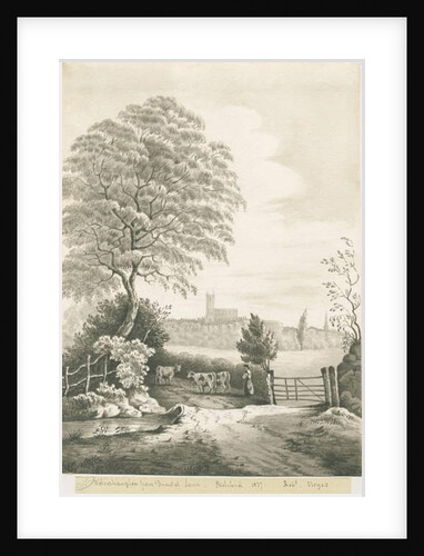 Wolverhampton - Distant view from Dunstall Lane by Robert Noyes