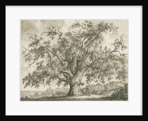Tutbury - 'Wych Elm': etching by Jacob George Strutt