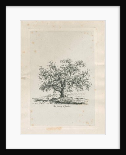 Tutbury - 'Wych Elm' by Jacob George Strutt