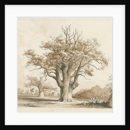 Teddesley Hall - Oak Trees by Thomas Peploe Wood