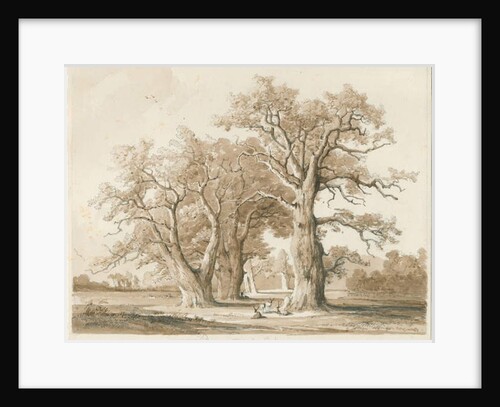 Teddesley Hall - Oak Trees: pencil and wash drawing, nd [Nov 1842] by Thomas Peploe Wood