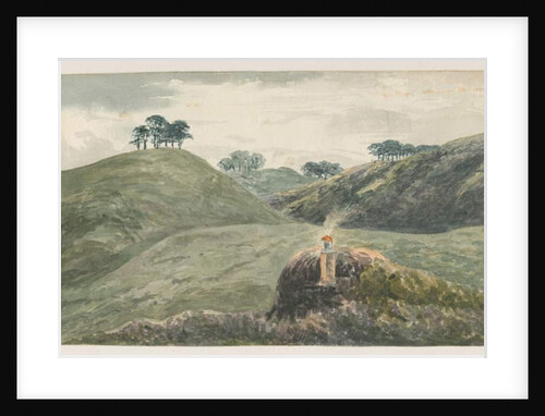 Walton-on-the-Hill - Cannock Chase by School English