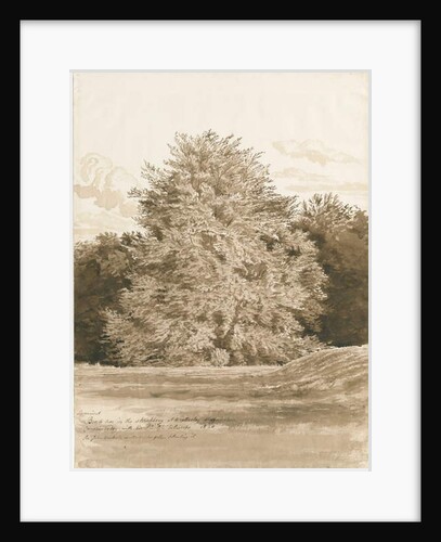Wrottesley Hall - The Shrubbery: sepia drawing, 1820 by Cornelius Varley
