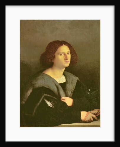 Portrait of a Man by Jacopo Palma