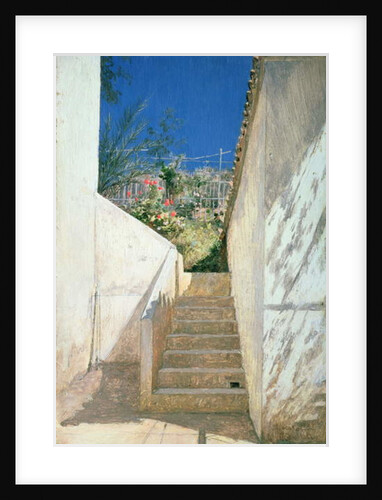 Steps in a Garden, Algeria, 1883 by Pavel Aleksandrovich Bryullov