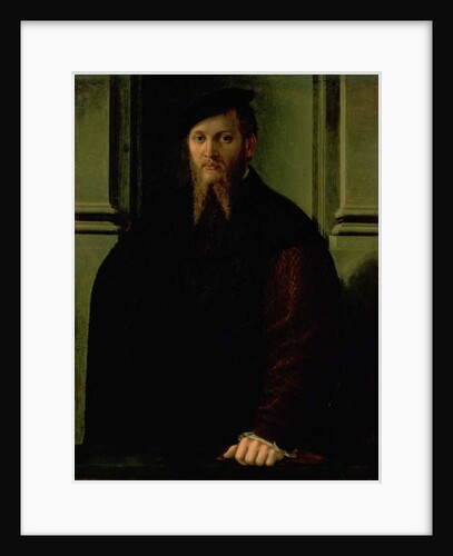 Portrait of a Man by Parmigianino