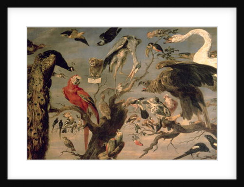 The Bird's Concert by Frans Snyders or Snijders