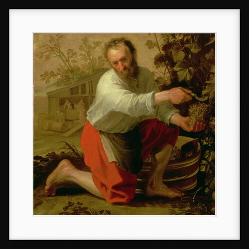 Vine Grower, 1628 by Jacob Gerritsz Cuyp