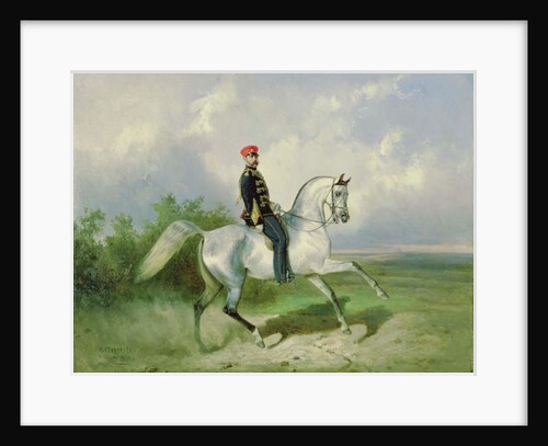 Portrait of Emperor Alexander II 1876 by Nikolai Egorevich Sverchkov