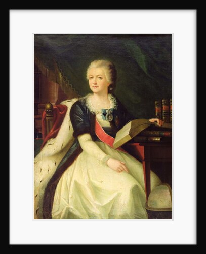 Portrait of Princess Yekaterina R. Vorontsova-Dashkova by Russian School