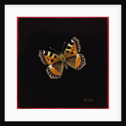 Small tortoiseshell butterfly, 1998 by Amelia Kleiser