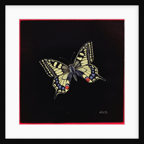 Swallowtail butterfly, 1999 by Amelia Kleiser