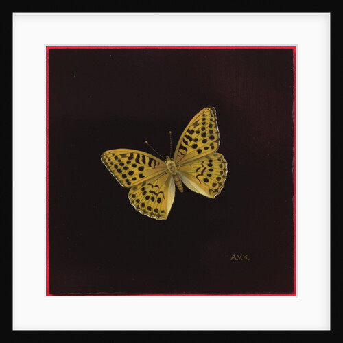Silver washed fritillary butterfly, 2000 by Amelia Kleiser
