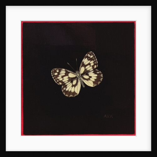 Marbled white butterfly, 2000 by Amelia Kleiser