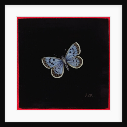 Large blue butterfly, 2000 by Amelia Kleiser