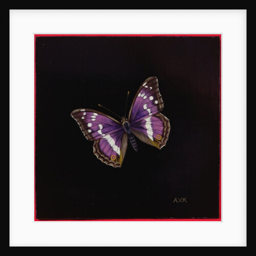 Purple emperor butterfly, 2000 by Amelia Kleiser