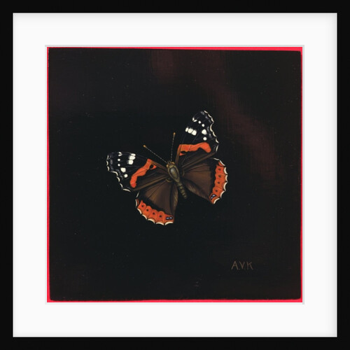 Red Admiral butterfly, 2001 by Amelia Kleiser