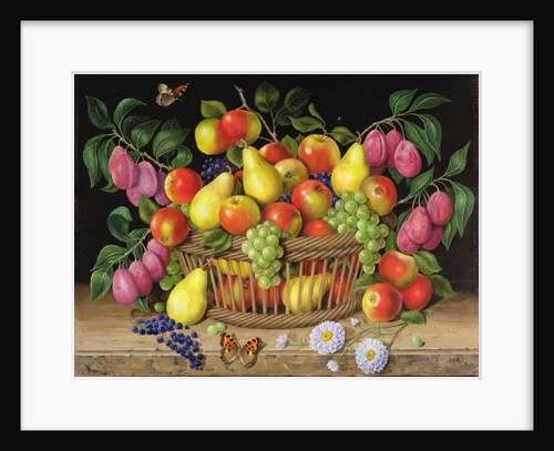 Apples, pears. grapes and plums, 1999 by Amelia Kleiser