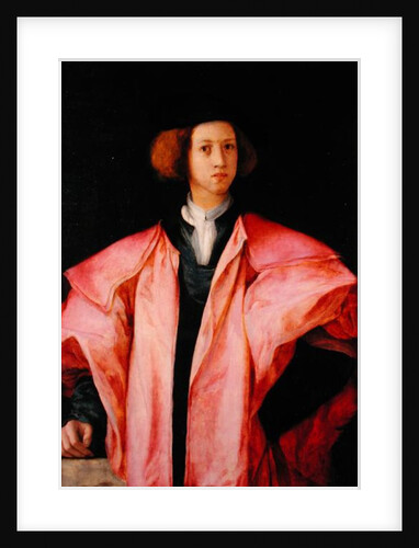 Portrait of a Young Man by Jacopo Pontormo