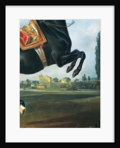 A black horse performing the Courbette by Johann Georg Hamilton