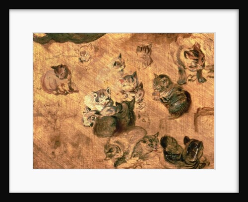 Study of cats, 1616 by Jan the Elder Brueghel