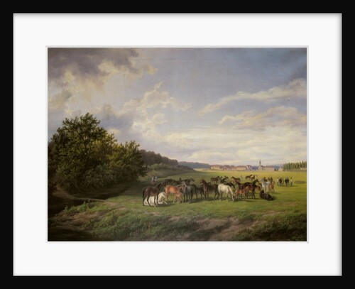 View of the Kladrub Studfarm in Bohemia, 1850 by Anton Schiffer