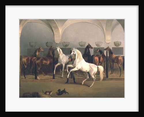 The Stables at Babolna, 1849 by Otto Stotz