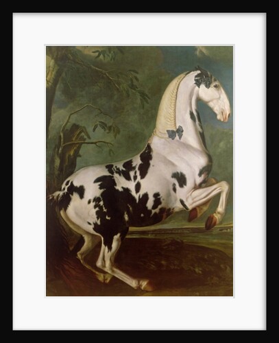 The Piebald Stallion at the Eisgruber Stud by Johann Georg Hamilton