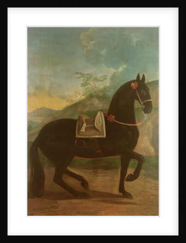 A Black Horse sporting a Spanish Saddle by Johann Georg Hamilton