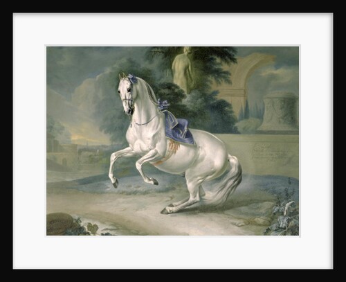 The White Stallion 'Leal' en levade, 1721 by J.G. & Brand J.C. Hamilton