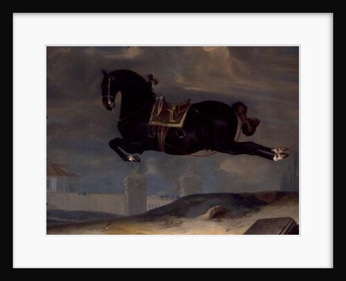 The black horse 'Curioso' performing a Capriole by Johann Georg Hamilton