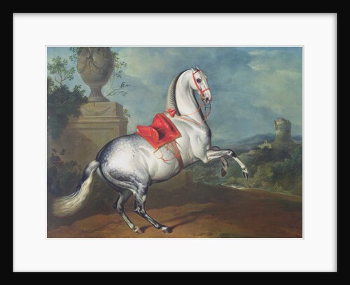The Dapple Grey Galloping by Johann Georg Hamilton