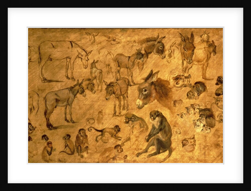 Study of Donkeys, Kittens and Monkeys, 1616 by Jan the Elder Brueghel