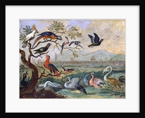 Birds from the Four continents in a landscape with a view of Peking in the background by Ferdinand van Kessel