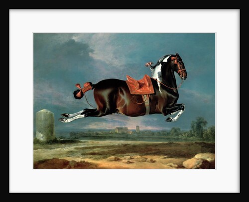 The Piebald Horse 'Cehero' Rearing, 1721 by Johann Georg Hamilton
