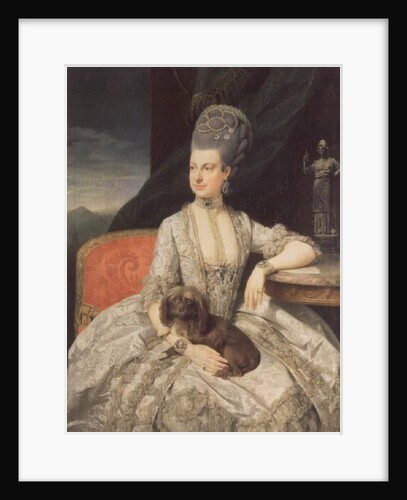 Archduchess Maria Christine Habsburg-Lothringen, daughter of Empress Maria Theresa of Austria and Emperor Francis I of Austria, 1776 by Johann Zoffany