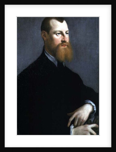 Portrait of a man with a ginger beard, 16th century by Jan Stephen Calcar