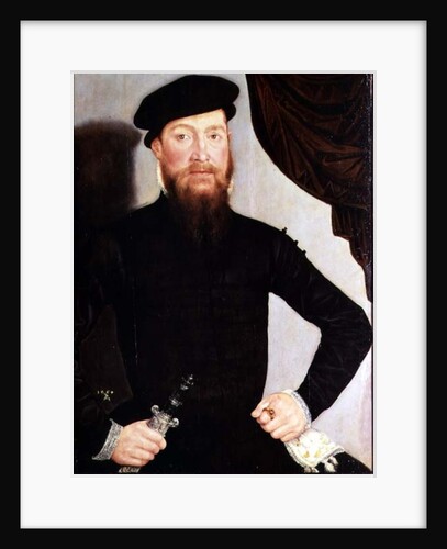 Portrait of a man, 1564 by Lucas the Younger Cranach