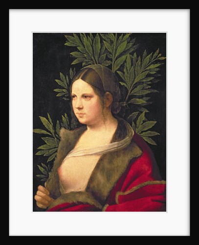 Portrait of a Young Woman, 1506 by Giorgione