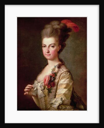 Archduchess Marie-Christine Habsburg-Lothringen by Anonymous
