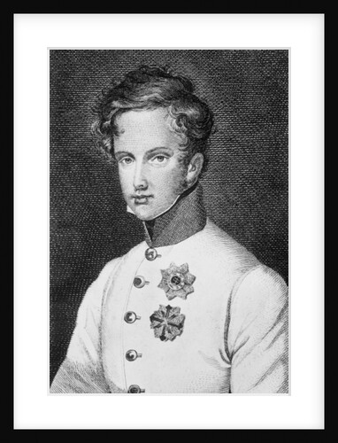 Napoleon II, Francois Charles Joseph Bonaparte son of Napoleon Bonaparte I later Duke of Reichstadt c.1811-14 by Austrian School