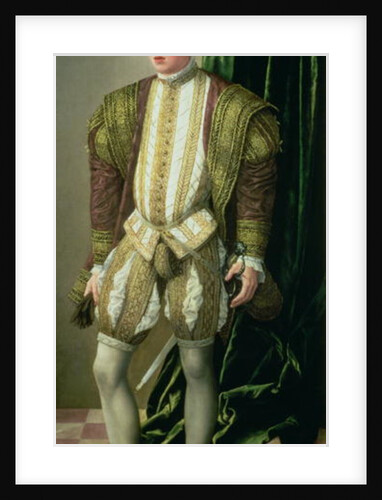 Archduke Ferdinand of Tirol, son of the Holy Roman Emperor Ferdinand I, 1548 by Jakob Seisenegger
