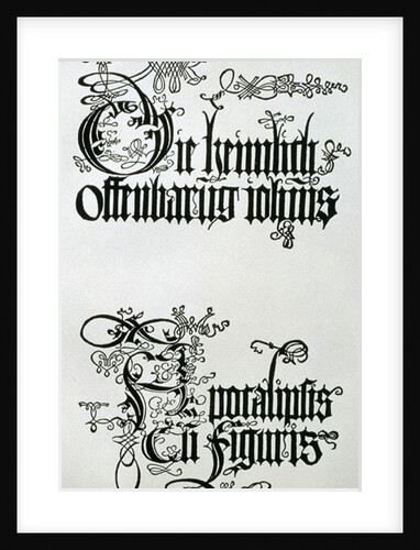 Inscriptions in Gothic script by Albrecht Dürer or Duerer