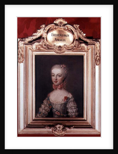 Archduchess Maria Amalia daughter of Emperor Francis I and Empress Maria Theresa of Austria 1762 by Jean-Etienne Liotard