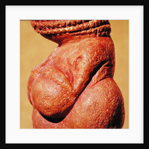 Female figurine known as the Venus of Willendorf, side view detail of torso, Gravettian culture, Upper Palaeolithic Period, c.30000-18000 BC by Paleolithic Paleolithic