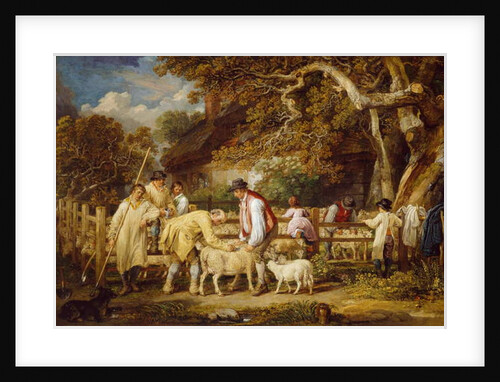 Sheep Salving, 1828 by James Ward