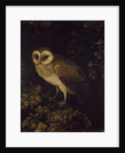 An Owl, 1780-90 by Moses Haughton